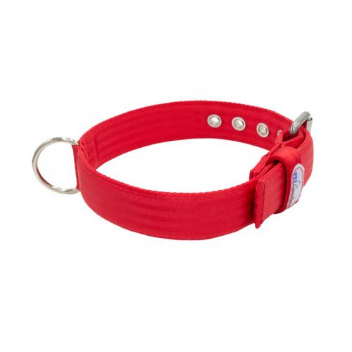 Belt collar polyester – KI01002/60/40/RD/00