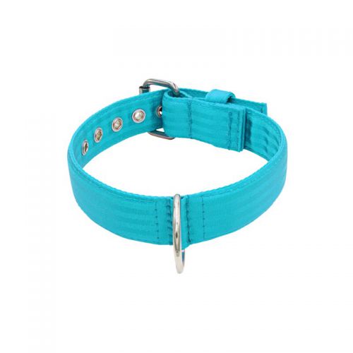 Belt collar polyester – KI01002/60/40/TU/00