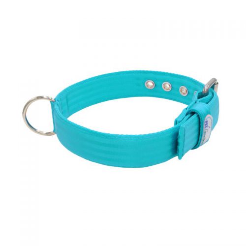 Belt collar polyester – KI01002/60/40/TU/00