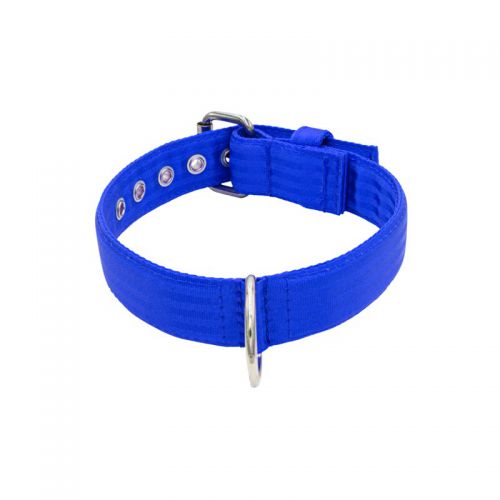 Belt collar polyester – KI01002/65/40/BL/00