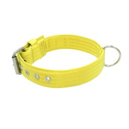 Belt collar polyester – KI01002/65/40/YL/00