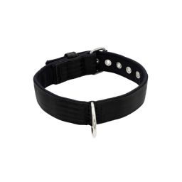 Belt collar polyester with neoprene lining – KI01003/60/40/BK/01