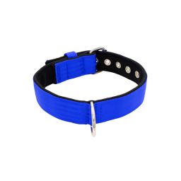 Belt collar polyester with neoprene lining – KI01003/60/40/BL/01