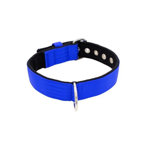 Belt collar polyester with neoprene lining – KI01003/60/40/BL/01