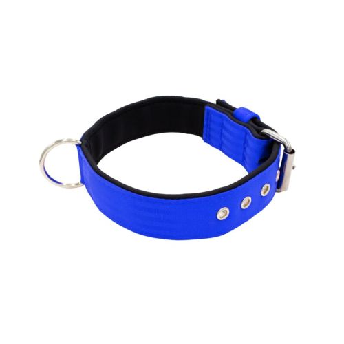 Belt collar polyester with neoprene lining – KI01003/60/40/BL/01