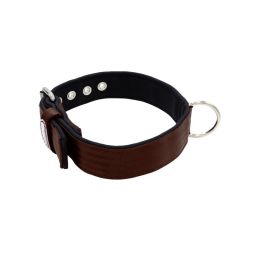 Belt collar polyester with neoprene lining – KI01003/60/40/BR/01