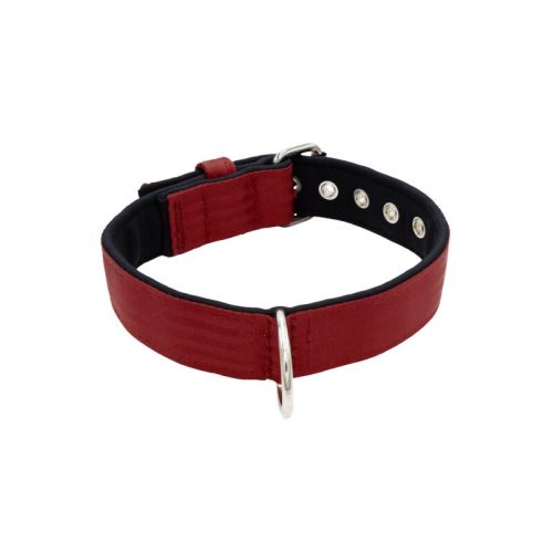 Belt collar polyester with neoprene lining – KI01003/60/40/DR/01