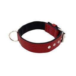 Belt collar polyester with neoprene lining – KI01003/60/40/DR/01