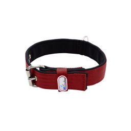 Belt collar polyester with neoprene lining – KI01003/60/40/DR/01