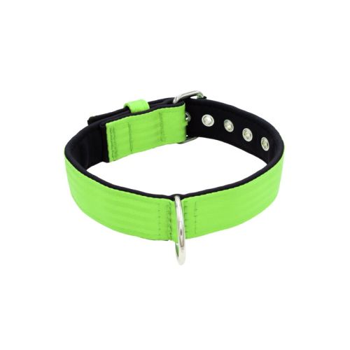 Belt collar polyester with neoprene lining – KI01003/60/40/LM/01