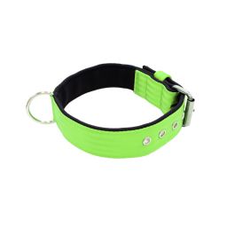 Belt collar polyester with neoprene lining – KI01003/60/40/LM/01