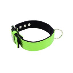 Belt collar polyester with neoprene lining – KI01003/60/40/LM/01