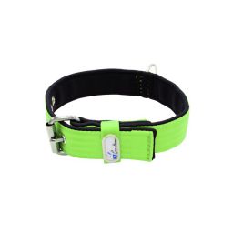 Belt collar polyester with neoprene lining – KI01003/60/40/LM/01