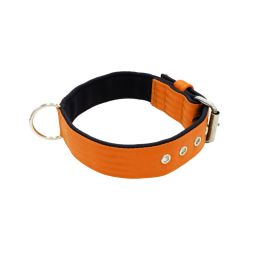 Belt collar polyester with neoprene lining – KI01003/60/40/OR/01