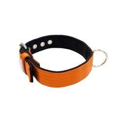 Belt collar polyester with neoprene lining – KI01003/60/40/OR/01