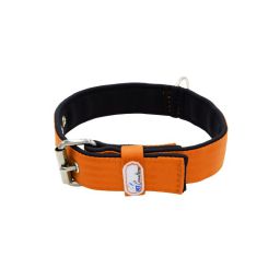 Belt collar polyester with neoprene lining – KI01003/60/40/OR/01