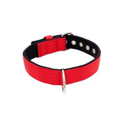 Belt collar polyester with neoprene lining – KI01003/60/40/RD/01