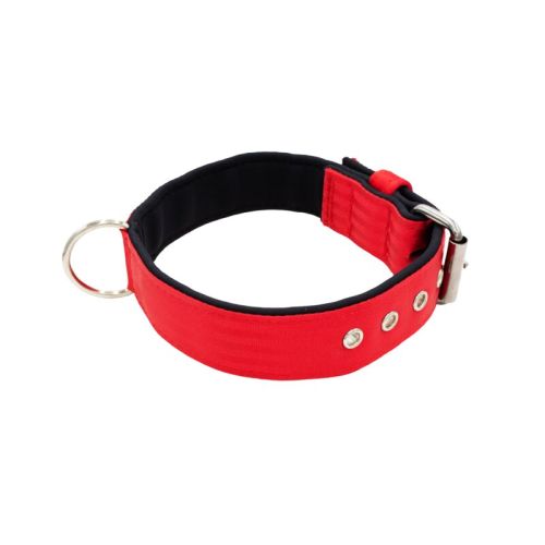 Belt collar polyester with neoprene lining – KI01003/60/40/RD/01