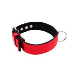 Belt collar polyester with neoprene lining – KI01003/60/40/RD/01