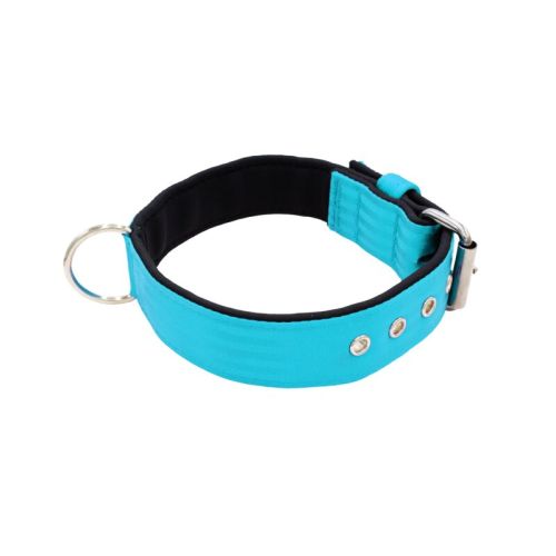 Belt collar polyester with neoprene lining – KI01003/60/40/TU/01