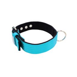 Belt collar polyester with neoprene lining – KI01003/60/40/TU/01