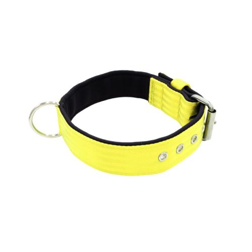 Belt collar polyester with neoprene lining – KI01003/60/40/YL/01