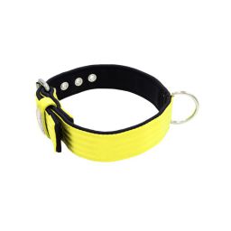 Belt collar polyester with neoprene lining – KI01003/60/40/YL/01