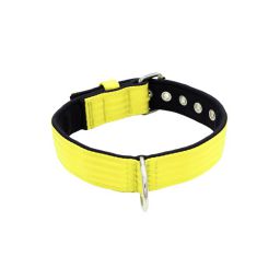 Belt collar polyester with neoprene lining – KI01003/65/40/YL/01