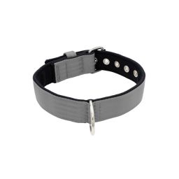 Belt collar polyester with neoprene lining – KI01003/70/40/GY/01