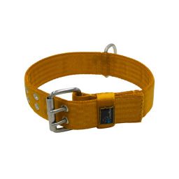 Belt collar polyester – KI01004/65/50/BR/00