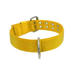 Belt collar polyester – KI01004/65/50/YL/00