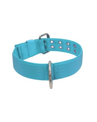 Belt collar polyester