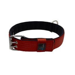 Belt collar polyester with neoprene lining – KI01005/65/50/DR/01