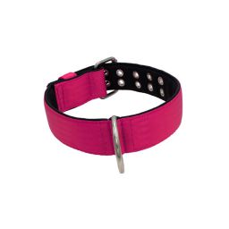 Belt collar polyester with neoprene lining – KI01005/65/50/FU/01