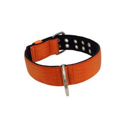 Belt collar polyester with neoprene lining – KI01005/65/50/OR/01