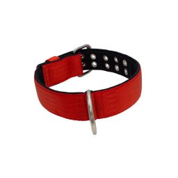 Belt collar polyester with neoprene lining – KI01005/65/50/RD/01