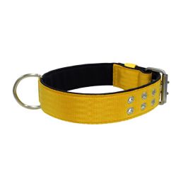 Belt collar polyester with neoprene lining – KI01005/70/50/YL/01