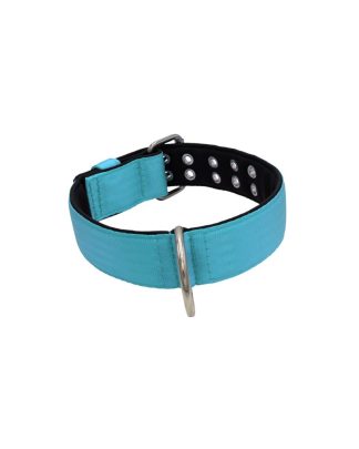 Belt collar polyester with neoprene lining