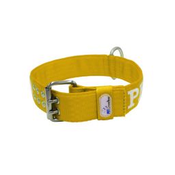 Belt collar polyester with embroidery – KI01006/65/50/YL/00