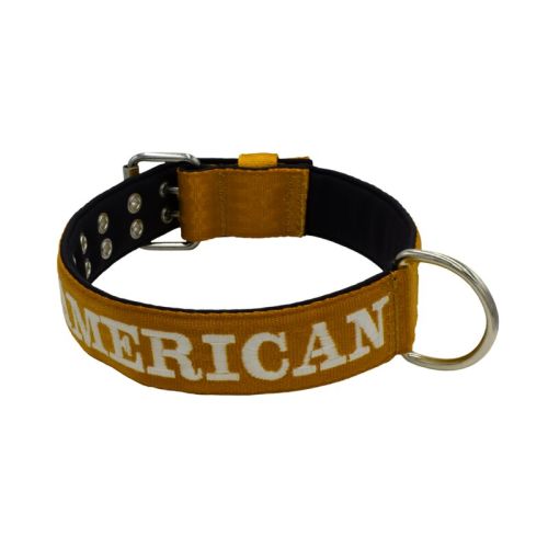 Belt collar polyester and neoprene lining with embroidery – KI01007/70/50/BR/01