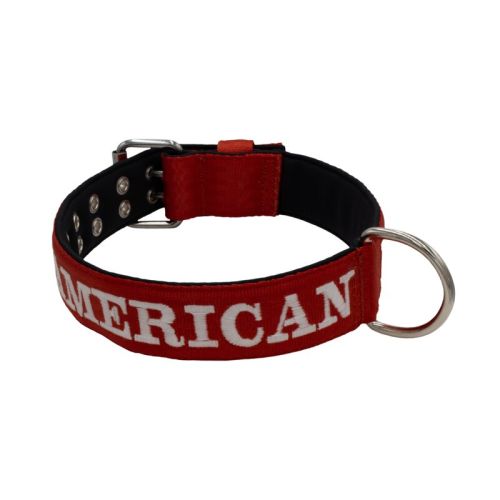 Belt collar polyester and neoprene lining with embroidery – KI01007/70/50/DR/01