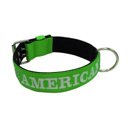 Belt collar polyester and neoprene lining with embroidery – KI01007/70/50/LM/01