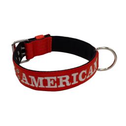 Belt collar polyester and neoprene lining with embroidery – KI01007/70/50/RD/01