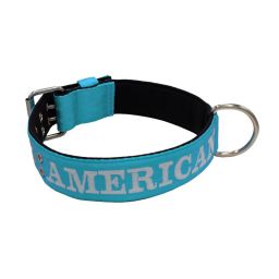 Belt collar polyester and neoprene lining with embroidery – KI01007/70/50/TU/01