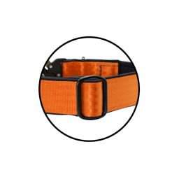 Belt collar Tactical polyester and neoprene lining – KI01008/40/40/OR/01