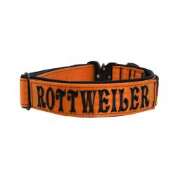 Belt collar Tactical polyester and neoprene lining with embroidery – KI01009/40/40/OR/01