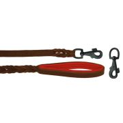 Leash Basic Leather and Lining Leather – OD01002/100/20/BR/04/K13