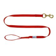 Leash seatbelt polyester – OI01006/100/25/RD/00/K11