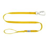 Leash seatbelt polyester – OI01006/100/25/YL/00/K14