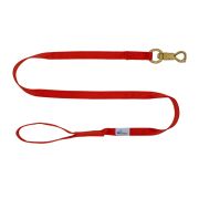 Leash seatbelt polyester – OI01006/120/25/RD/00/K08